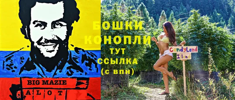 Бошки Шишки THC 21%  Волжск 